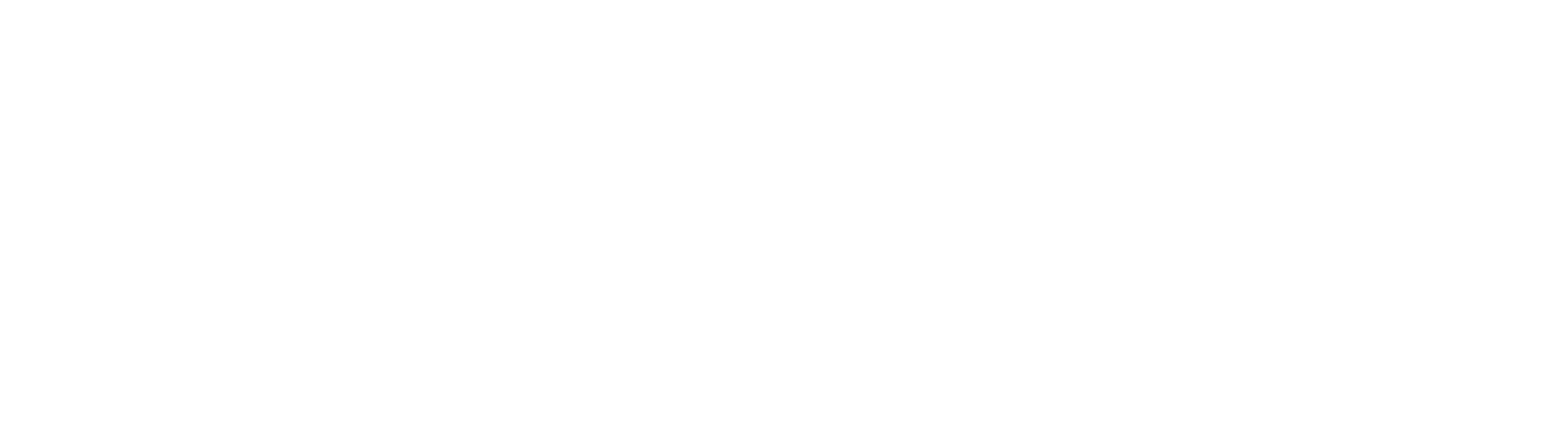 Ragioneer